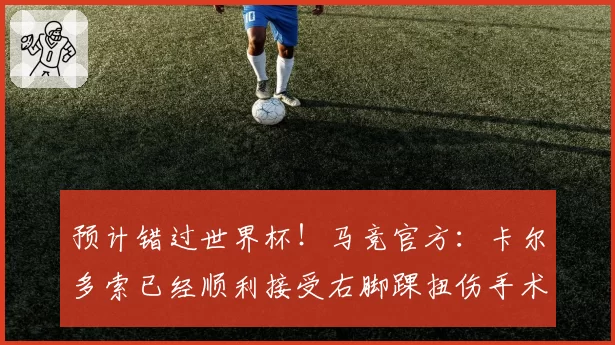 预计错过世界杯!马竞官方:卡尔多索已经顺利接受右脚踝扭伤手术
